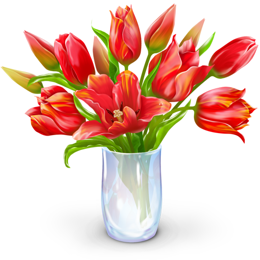 گل و گیاه طبیعی